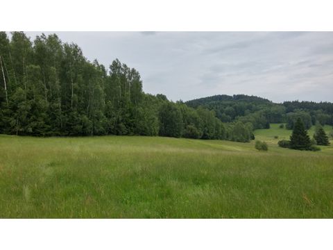 Foto 20
